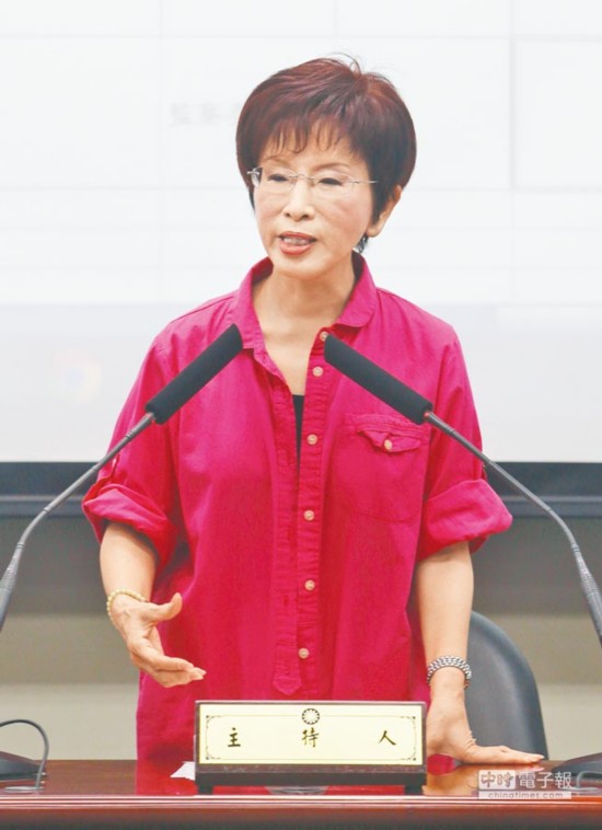 洪秀柱海外后援会成立 10大理由"挺柱"(图)