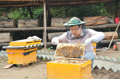 养蜜蜂的技术 养蜜蜂的技术与方法