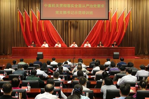 把全面从严治党要求落到基层落到实处