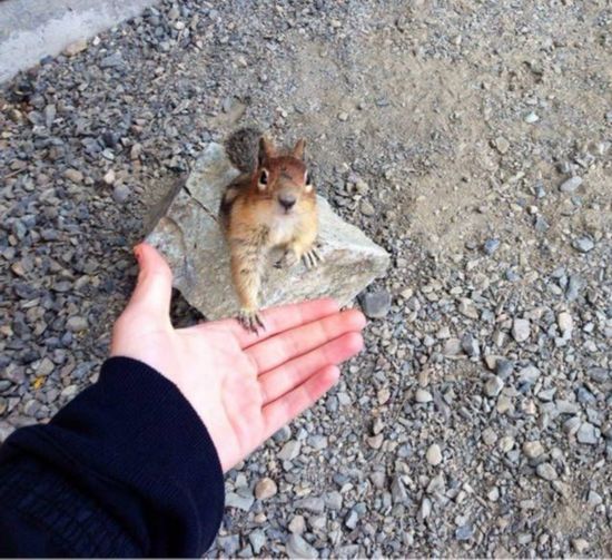 揭秘萌物小天地