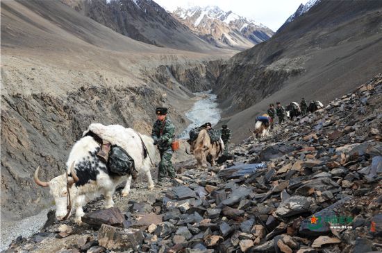 牛骑兵巡逻"死亡谷"全程实录
