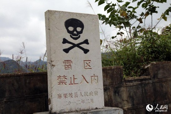 实拍中越边境扫雷全程 排雷兵赤手取雷(图)