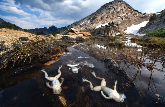 超震撼图片透视环境污染