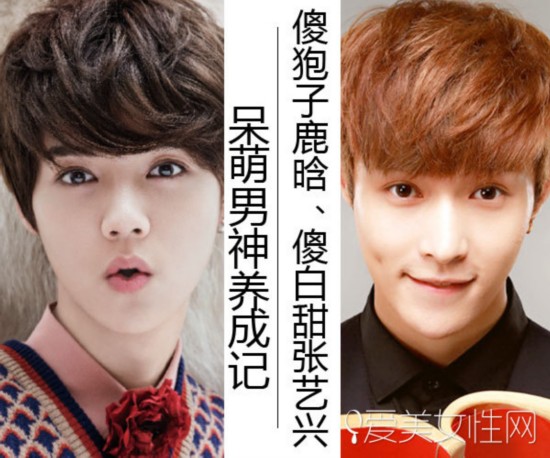 傻狍子鹿晗傻白甜张艺兴 帅萌男神养成记