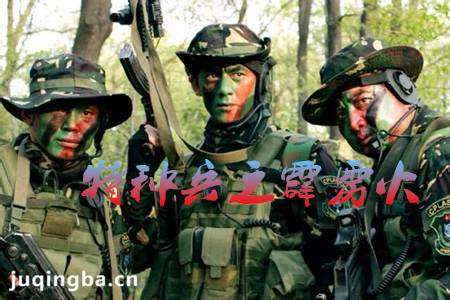 特种兵之霹雳火第7,8集剧情 1-40集电视剧全集分集剧情介绍大结局:曾