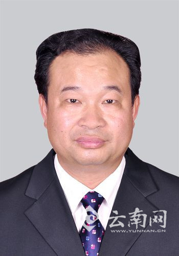 县委副书记,楚雄州生物资源开发创新办公室主任,党组书记,武定县委副