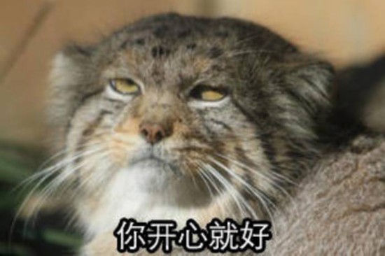 里约奥运未解之谜:张国伟的证件照是怎么过审的!(图)