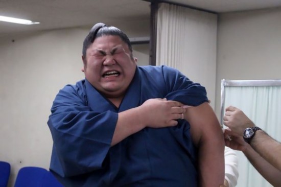 日本相扑选手注射疫苗时表情痛苦难掩哭泣