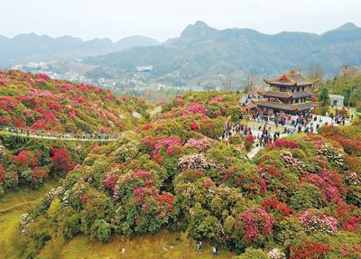 欲钱找思维迟钝的动物_济南世纪园门票价格_济南动物园门票多少钱
