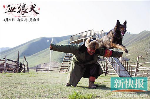 原标题《血狼犬》看哭一大片 由刘建华执导