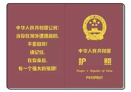 《战狼》中有哪些你所不知道的中国"走出去"故事?
