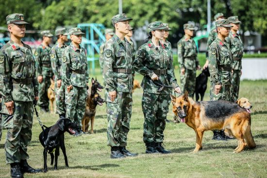 奇兵神犬张大大图片