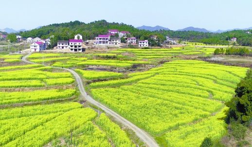 暖阳下的娄底市娄星区杉山镇万乐村(资料照片 杨竹辉 摄