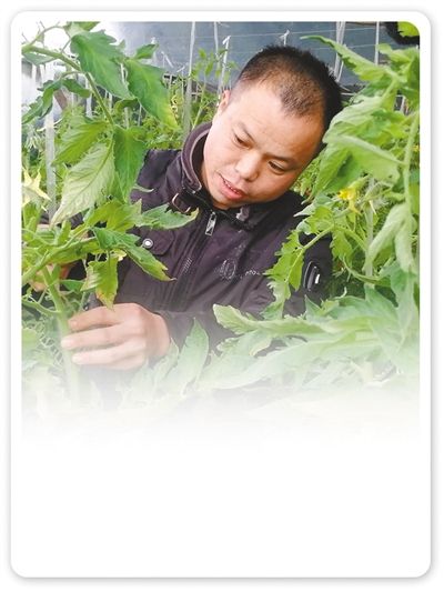 杜红旗 32岁 稍岗镇韦店集村村民