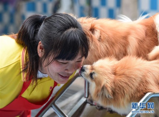 芬姐和博美犬2