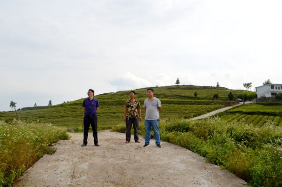 长坝镇:山旮旯的产业成就脱贫致富梦