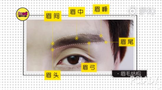 然后了解下男生常见眉形,自然眉,一字眉,剑眉,明星眉,时尚眉,型男眉