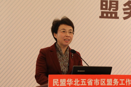 中共北京市委常委,统战部部长齐静致辞全国人大常委会副委员长,民盟