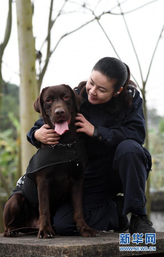 【图片故事】一个"警犬妈妈"的十年春运坚守