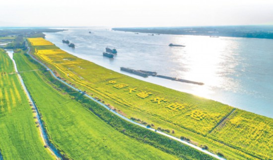 长江安徽段计划开展"三大一强"专项攻坚行动