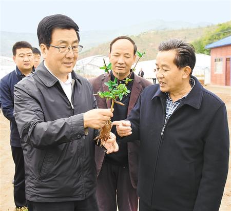 10月10日,省委书记,省人大常委会主任林铎在定西市通渭县调研指导脱贫