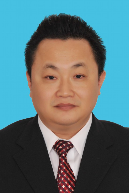 陈绍旺任辽宁省大连市代市长图简历