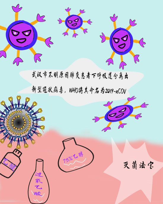 冠状病毒"族谱"曝光 专家带你找准防控要点