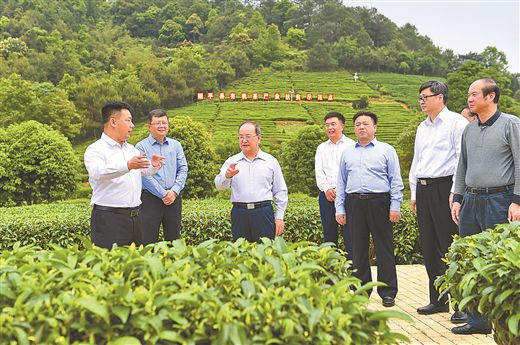 4月20日至22日,自治区党委书记,自治区人大常委会主任鹿心社深入梧州