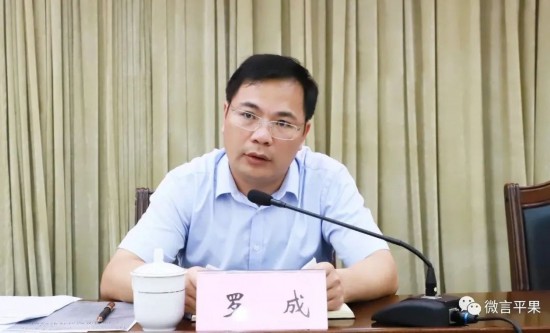 平果市人民政府市长罗成讲话
