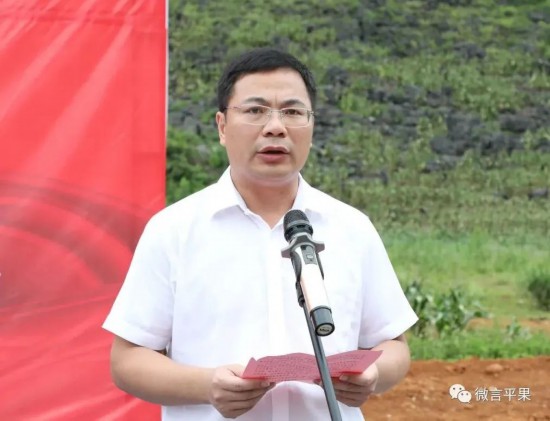 平果市人民政府市长罗成致辞
