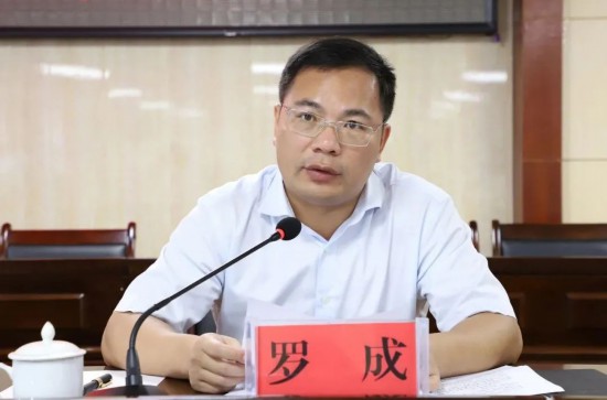 平果市人民政府市长罗成部署税收工作