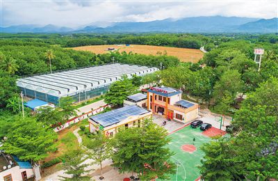 乐东黎族自治县大安镇西黎村:一村一景一村一韵