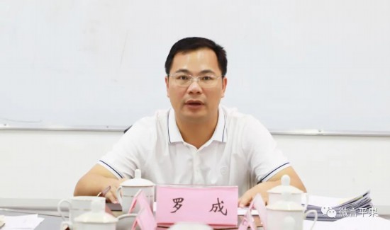 平果市人民政府市长罗成讲话