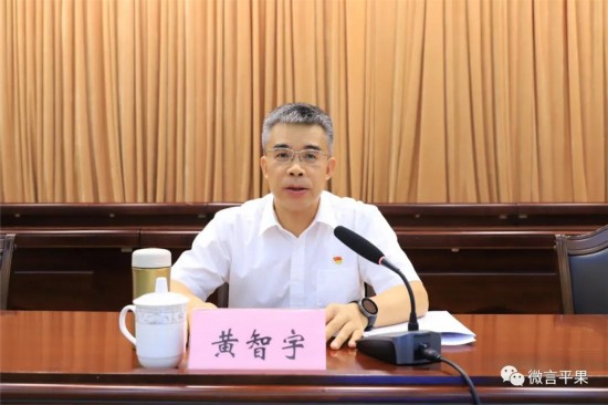 百色市委副书记,政法委书记,市信访工作联席会议召集人黄智宇讲话