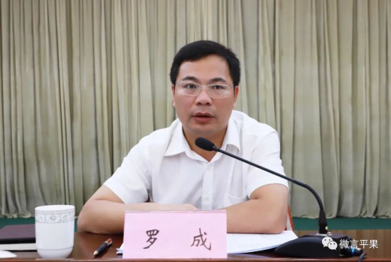 平果市人民政府市长罗成讲话