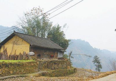 精准扶贫结出"幸福果"(集中连片特困地区贫困村调研行)