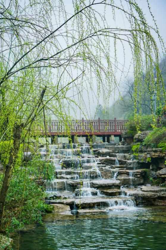 醉美岳麓之山篇在林间找寻春的足迹