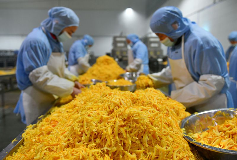 湖北秭归:脐橙深加工助农增收