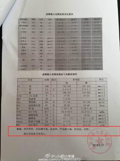 在死亡的狗狗"舔舔"的检验报告初诊中显示:有机磷中毒
