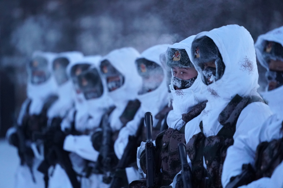 北极哨兵:挺立在风雪中的"北极杨"