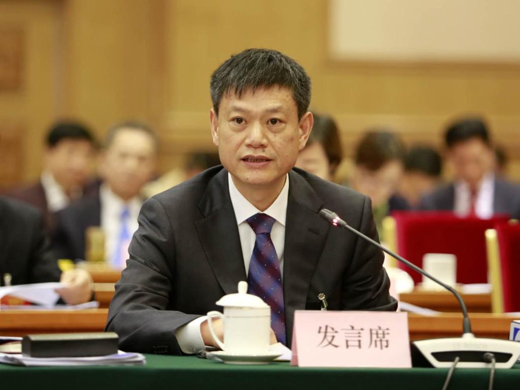 全国人大代表,湖北天门市委书记庄光明:用好长江经济